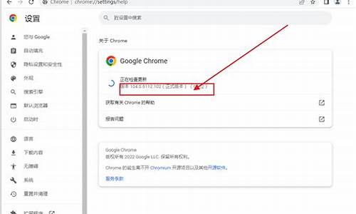 chrome版本72.0.3626(Chrome版本检测)